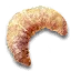 Honey croissant