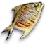 Dried fish