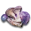 Magic mushrooms