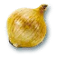 Onion