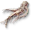 Allspice