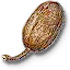 Balisse fruit