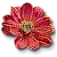 Beggartick blossoms
