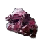 Bryonia