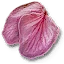 Ginatia petals