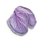 Hellebore petals