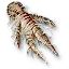 Mandrake root