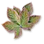 Nostrix
