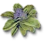 Pringrape