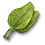 Ribleaf