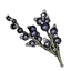 Wolfsbane