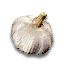 Anti-vampire garlic