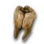 False teeth