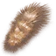 Squirrel tail