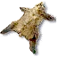 Old bear hide