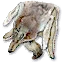 Wolf hide
