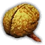 Drowner brain