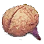 Monster brain