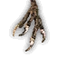 Harpy talons
