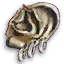 Grave hag's ear