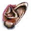 Monster ear