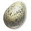 Cockatrice egg