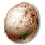 Griffin's egg