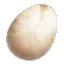 Harpy eggs