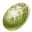 Wyvern egg