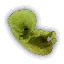Endrega embryo