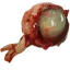 Nekker eye