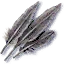Griffin feathers