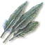 Monster feather