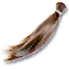Lock of lamia hair
