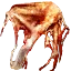 Necrophage hide