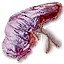 Monster liver