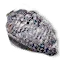 Slyzard scale plate