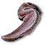 Drowner tongue