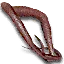 Archespore tendril