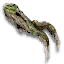Monster vine