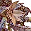 Arachas