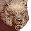 Grizzly bear