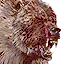 Bear berserker