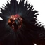 Opinicus