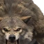 Warg