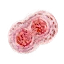 Lesser red mutagen
