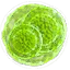 Greater green mutagen