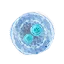 Blue mutagen