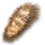 sq701_nest