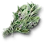 Bundle of burdock